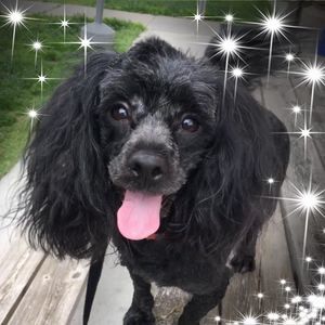 Meet your Posher, Tina